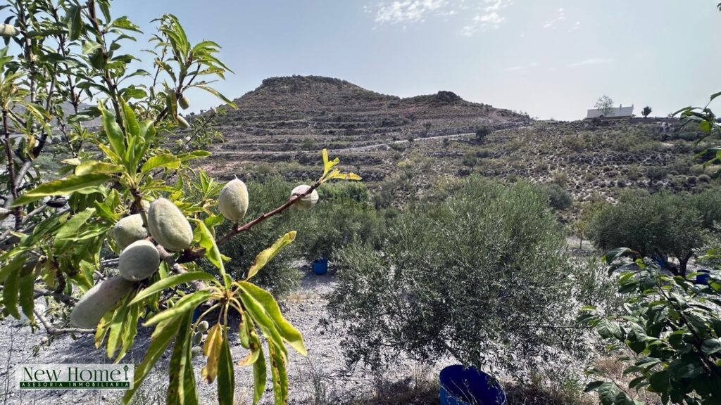 Finca rústica en venta en Barranco Garrido 2