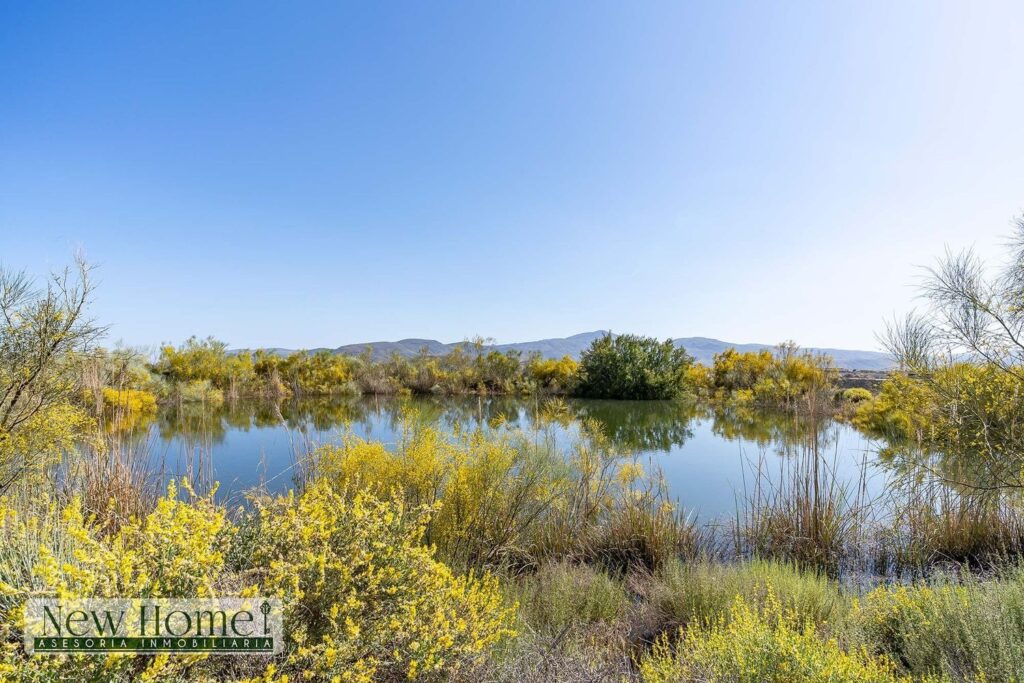 Finca rústica en venta en Paraje de los Llanillos 10